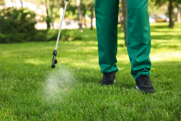 Best Best Pest Control Companies  in Willowick, OH