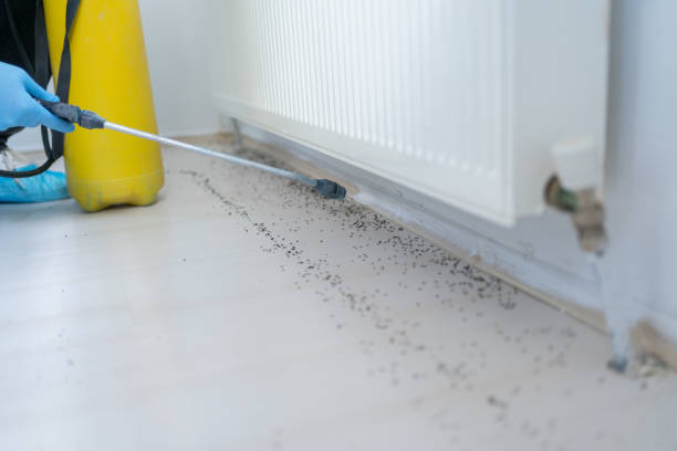 Pest Control for Restaurants in Willowick, OH